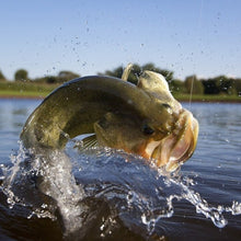 Cargar imagen en el visor de la galería, Señuelo de pesca O'Hook
